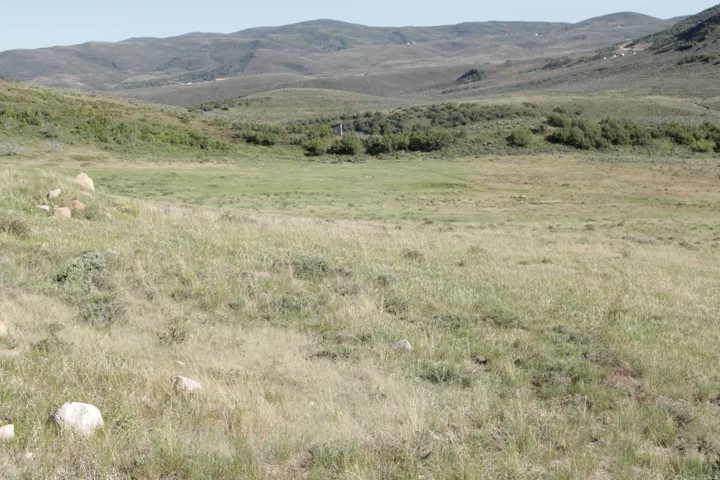 Expansive grassy terrain with rolling hills and distant mountainous landscape