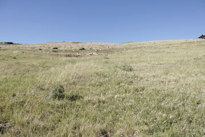 Expansive, undeveloped parcel featuring natural grasses and clear skies