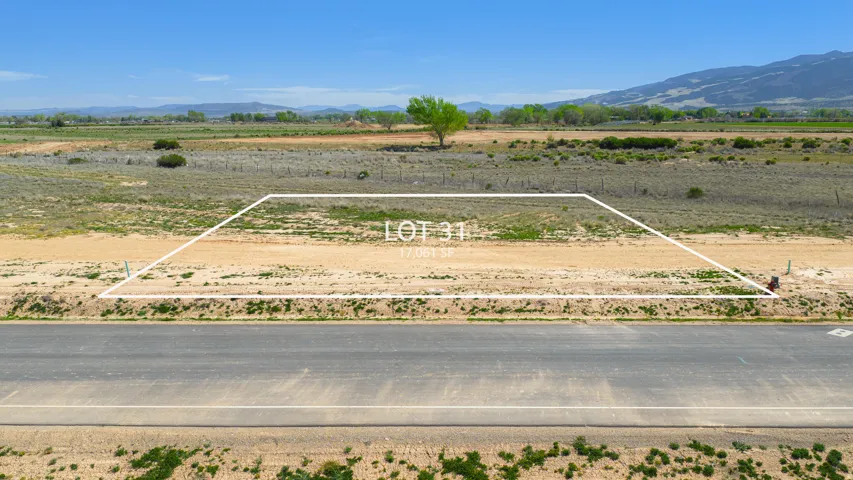 Expansive Lot 31, measuring 17,001 square feet, with direct road frontage