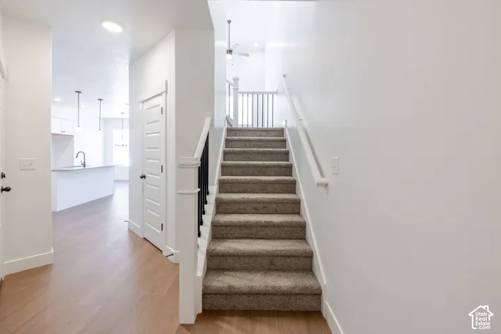 Carpeted staircase with black spindle railing, wood-finish flooring, and white paneled doors