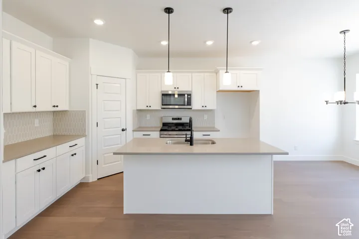 White cabinetry with black hardware, hexagon tile backsplash, center island with sink, stainless steel appliances, and wood-finish flooring