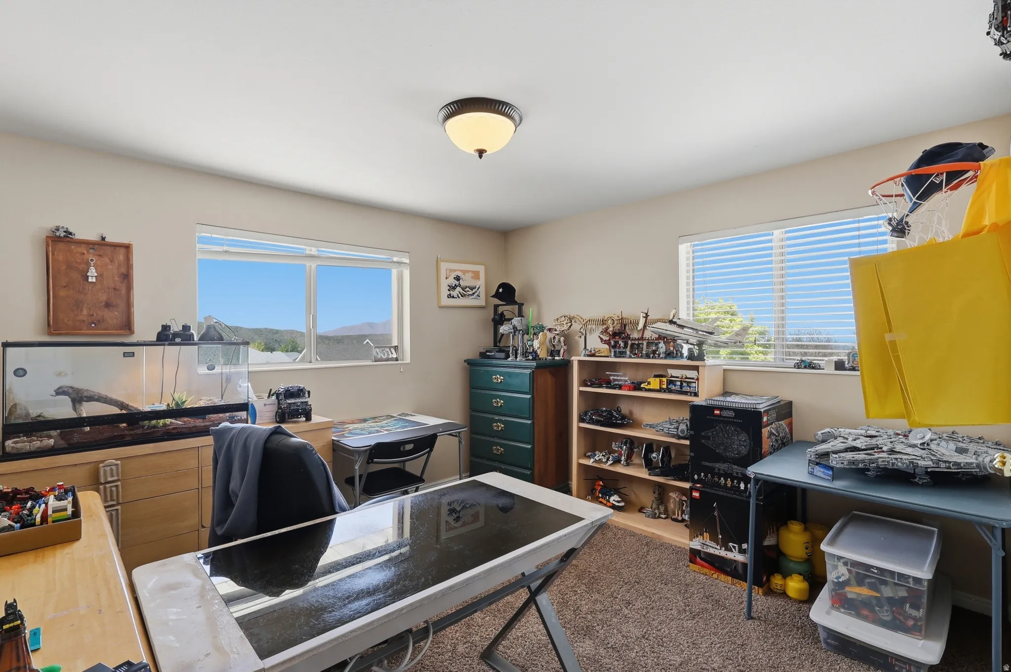 Room with two windows, ceiling-mounted light fixture, and carpet flooring