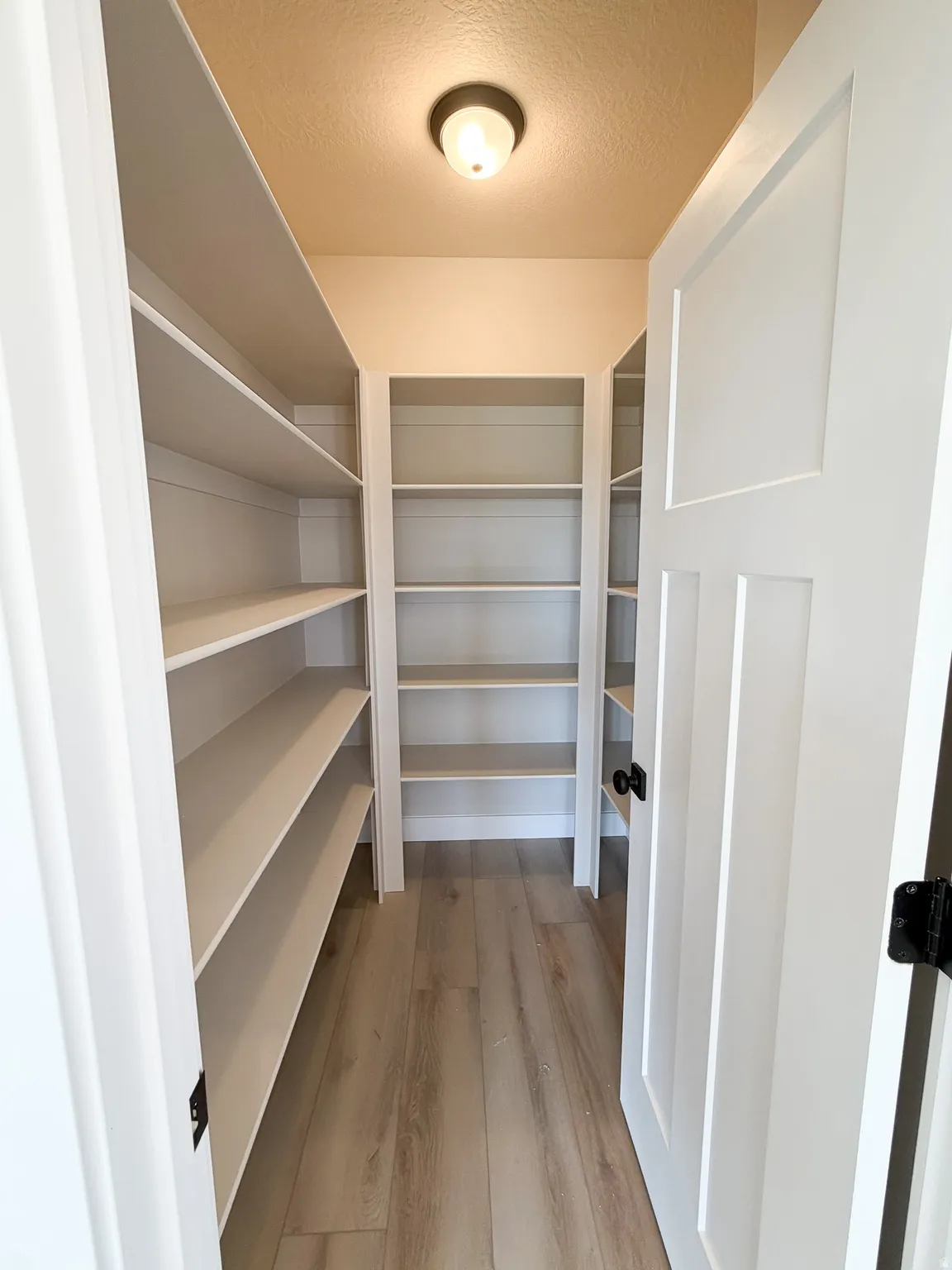 Walk-in pantry with extensive built-in shelving, light wood-finish flooring, and a flush mount ceiling light