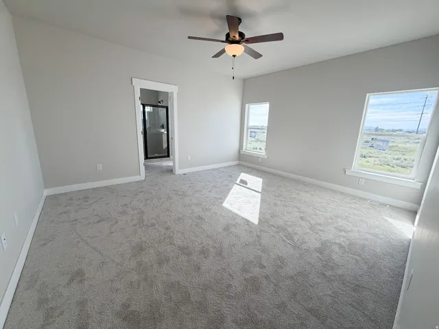 Carpeted room with a ceiling fan, light gray walls, and multiple windows