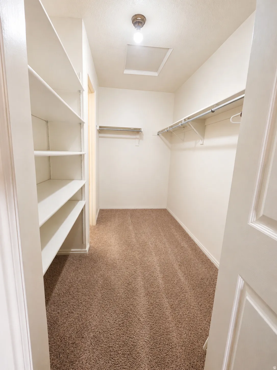 Walk-in closet with built-in shelving, carpet flooring, a clothing rod, and ceiling-mounted light fixtureblob:https://teams.microsoft.com/f5eb1130-ecec-49a6-8f13-8135aac7168c
