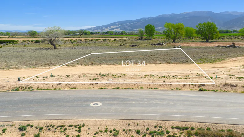 Expansive lot with demarcated boundaries, positioned roadside