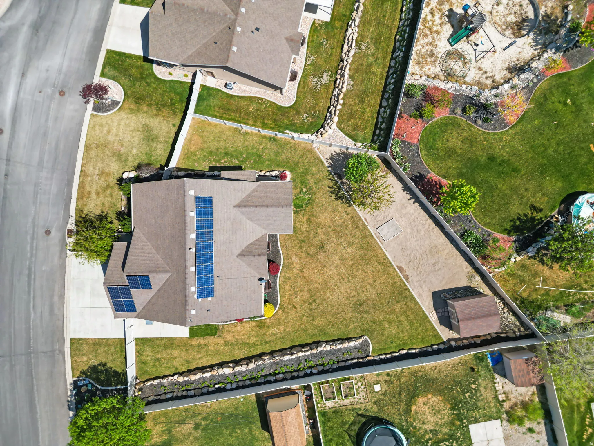 Residential property featuring a shingle roof with solar panels, a paved driveway, and a landscaped front yard with a tree