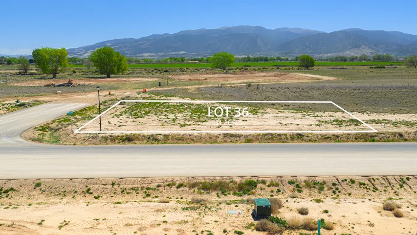 Expansive Lot 36 offering substantial undeveloped land with a paved road frontage