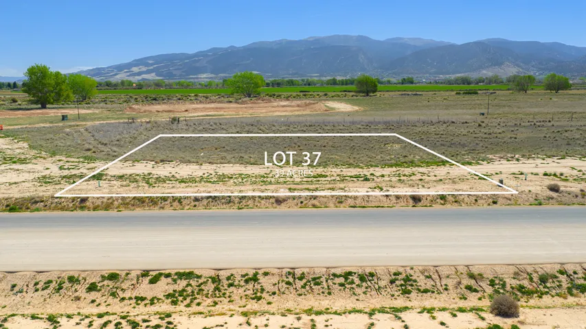 Flat, undeveloped Lot 37 with direct road frontage