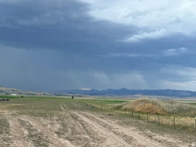 Expansive open land featuring a dirt path, green and dry grasses, and distant mountains under a dramatic sky