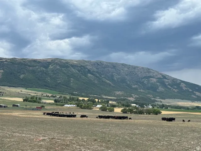 Expansive agricultural landscape featuring a large, grassy field with a distant mountain backdrop