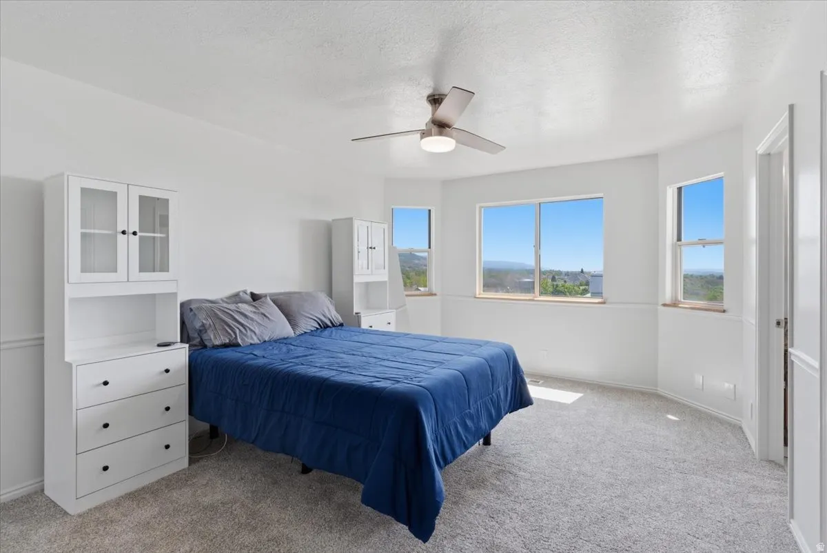Spacious room featuring multiple windows, gray carpeting, white trim, and a ceiling fan with integrated lighting