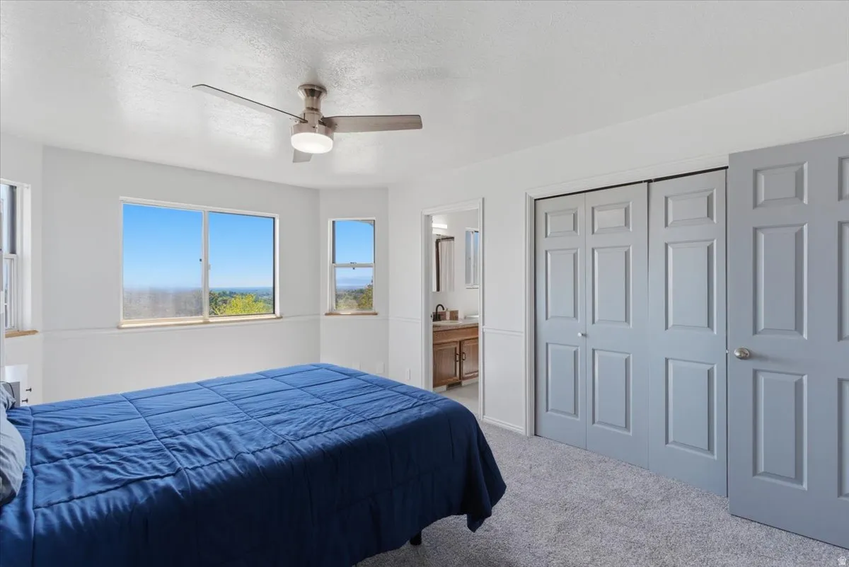 Bright room featuring multiple windows with distant scenery, a ceiling fan, light gray plush carpeting, and paneled bifold closet doors