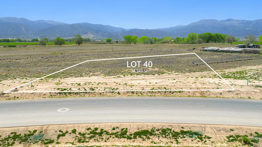 Expansive undeveloped lot presenting clear boundaries and a paved street frontage