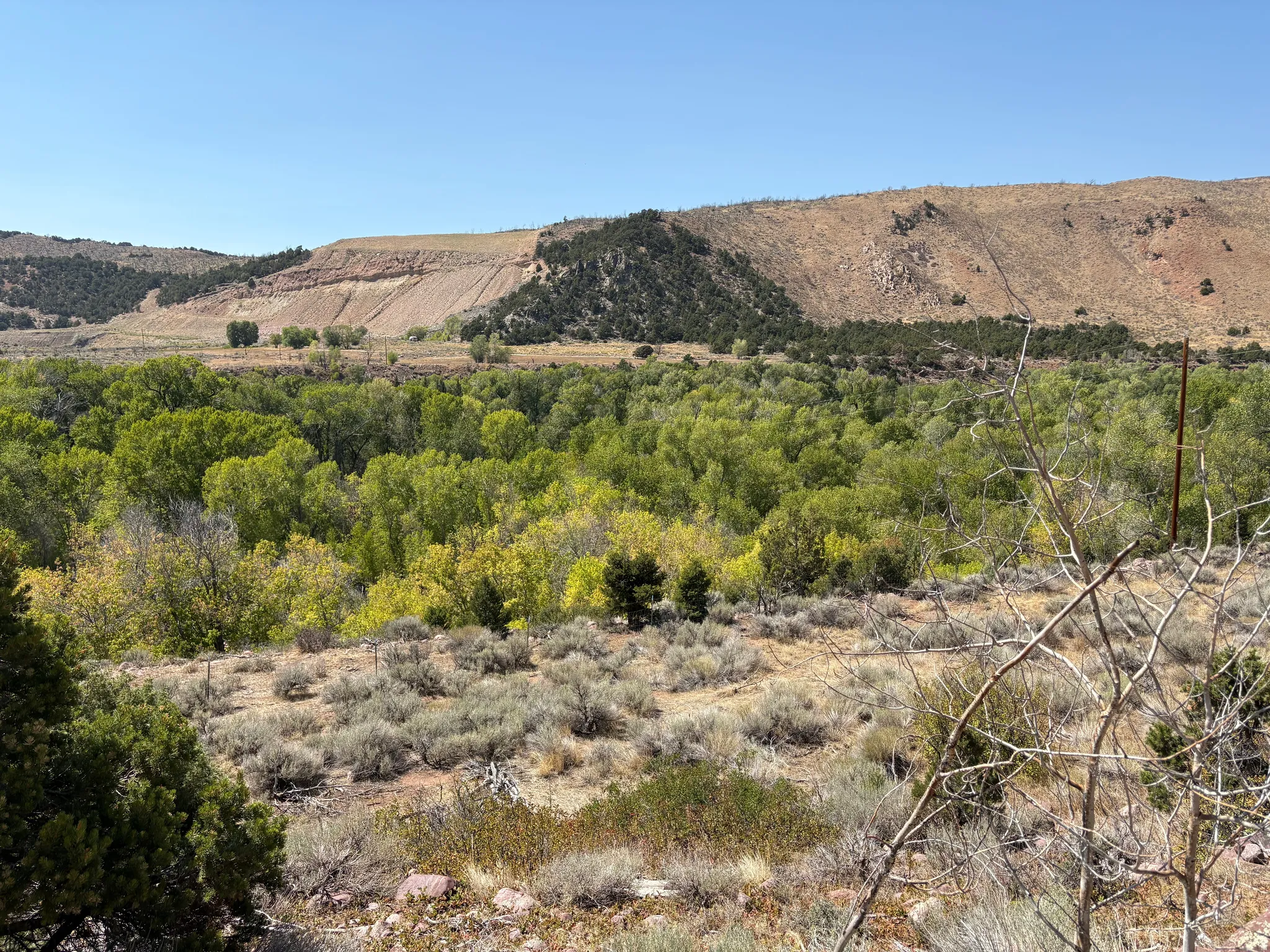 Expansive landscape featuring diverse natural terrain, including a dense green tree canopy, varied scrubland, and distant arid hills