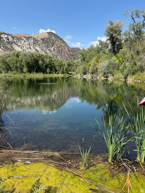 Natural pond with clear water, surrounded by abundant green foliage, bordered by a rocky mountain