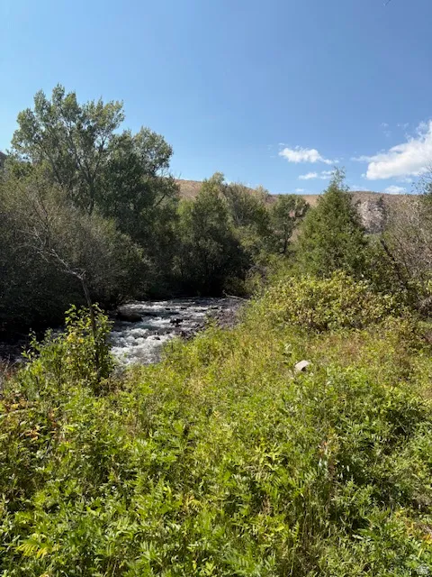 Waterfront property featuring a flowing river, abundant natural foliage, dense tree canopy, and a clear blue sky