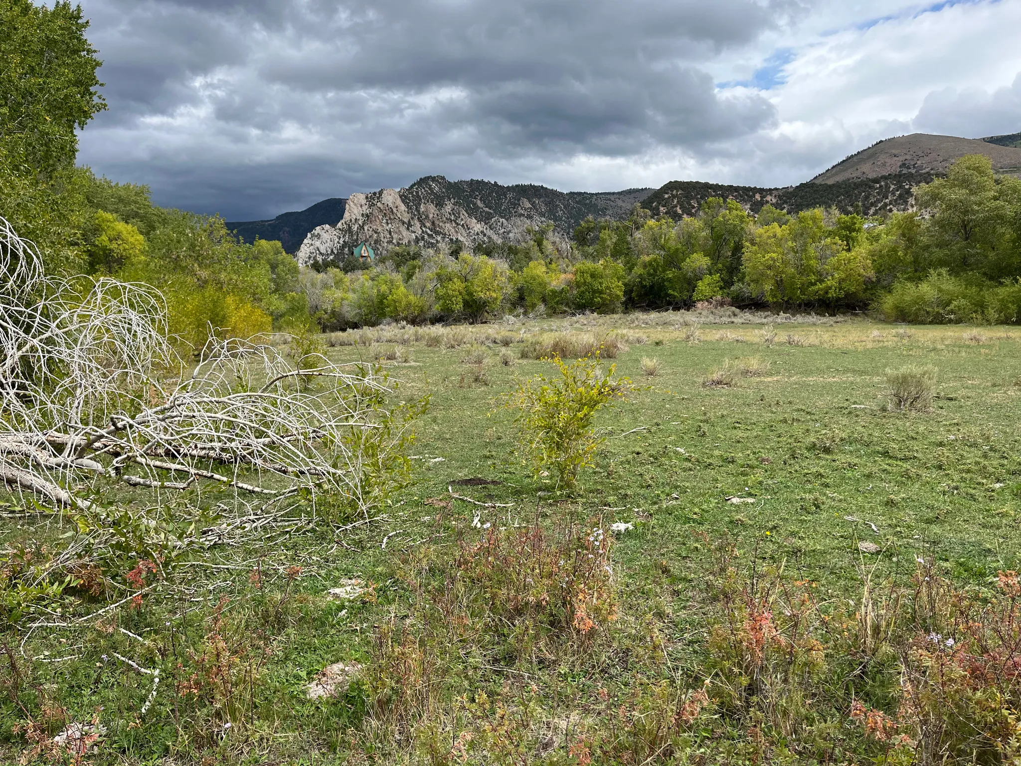 Expansive open field with green grass, surrounded by mature trees, and framed by rugged mountain formations in the distance