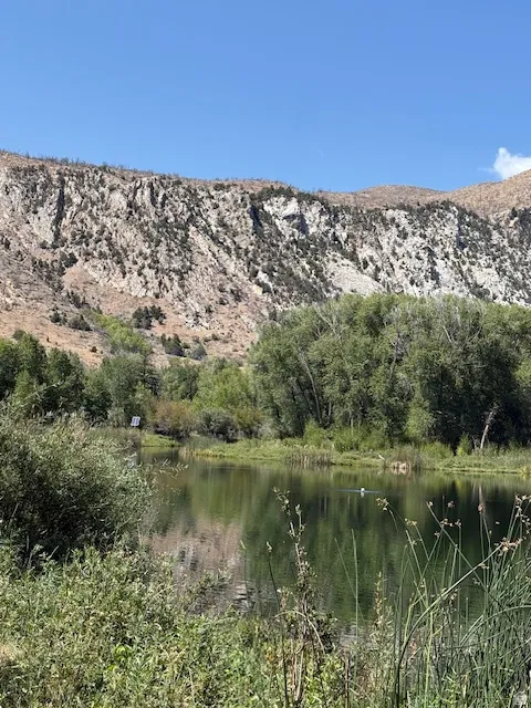 Expansive natural landscape featuring a reflective pond bordered by diverse foliage, with a towering mountain range providing a dramatic backdrop