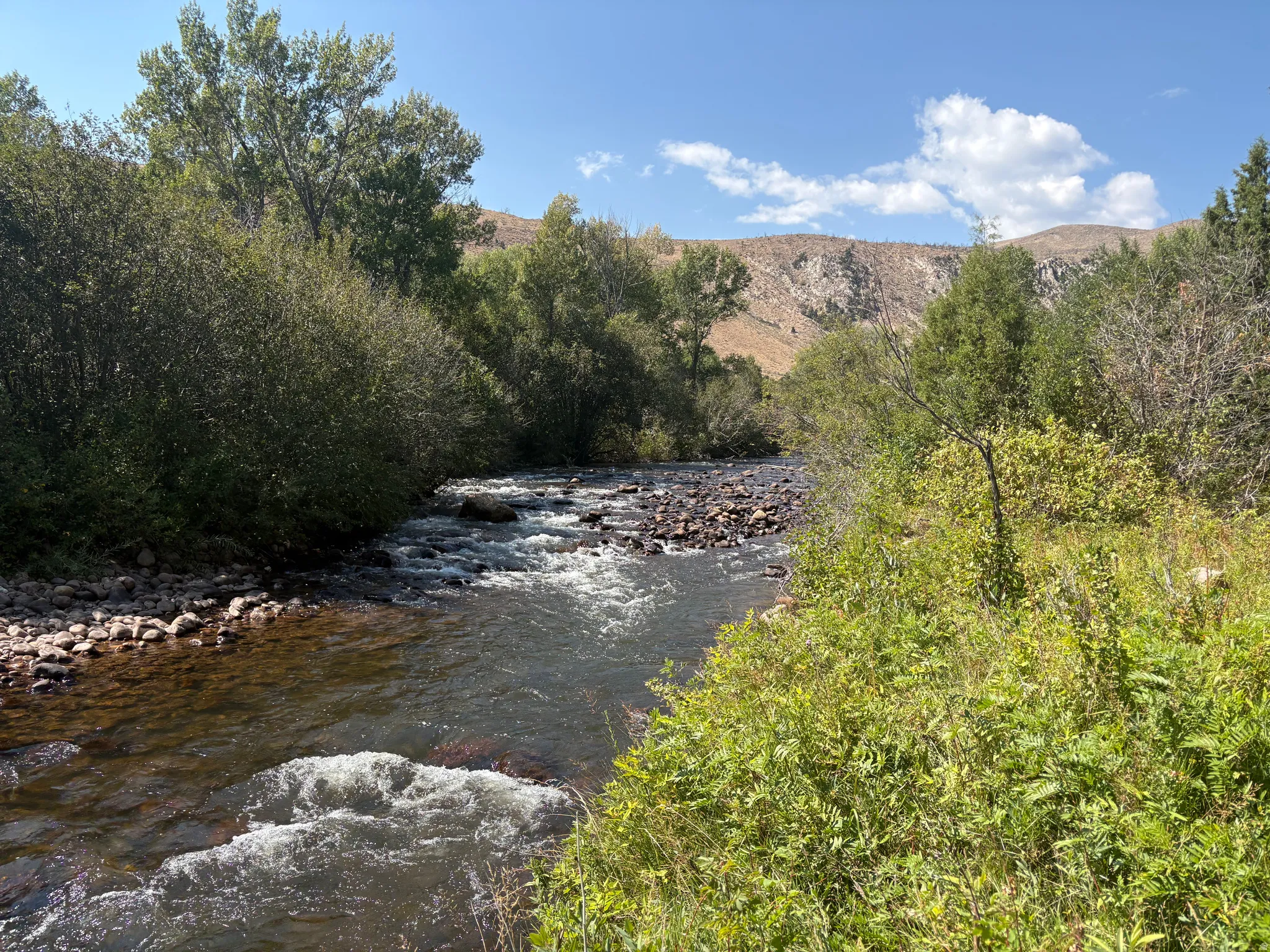 River frontage with natural rock bed, surrounded by lush green foliage and mature trees, set against a backdrop of distant hills and a clear blue sky