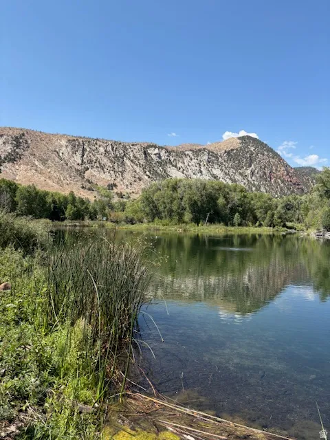 Natural water feature with surrounding vegetation and a mountain backdrop