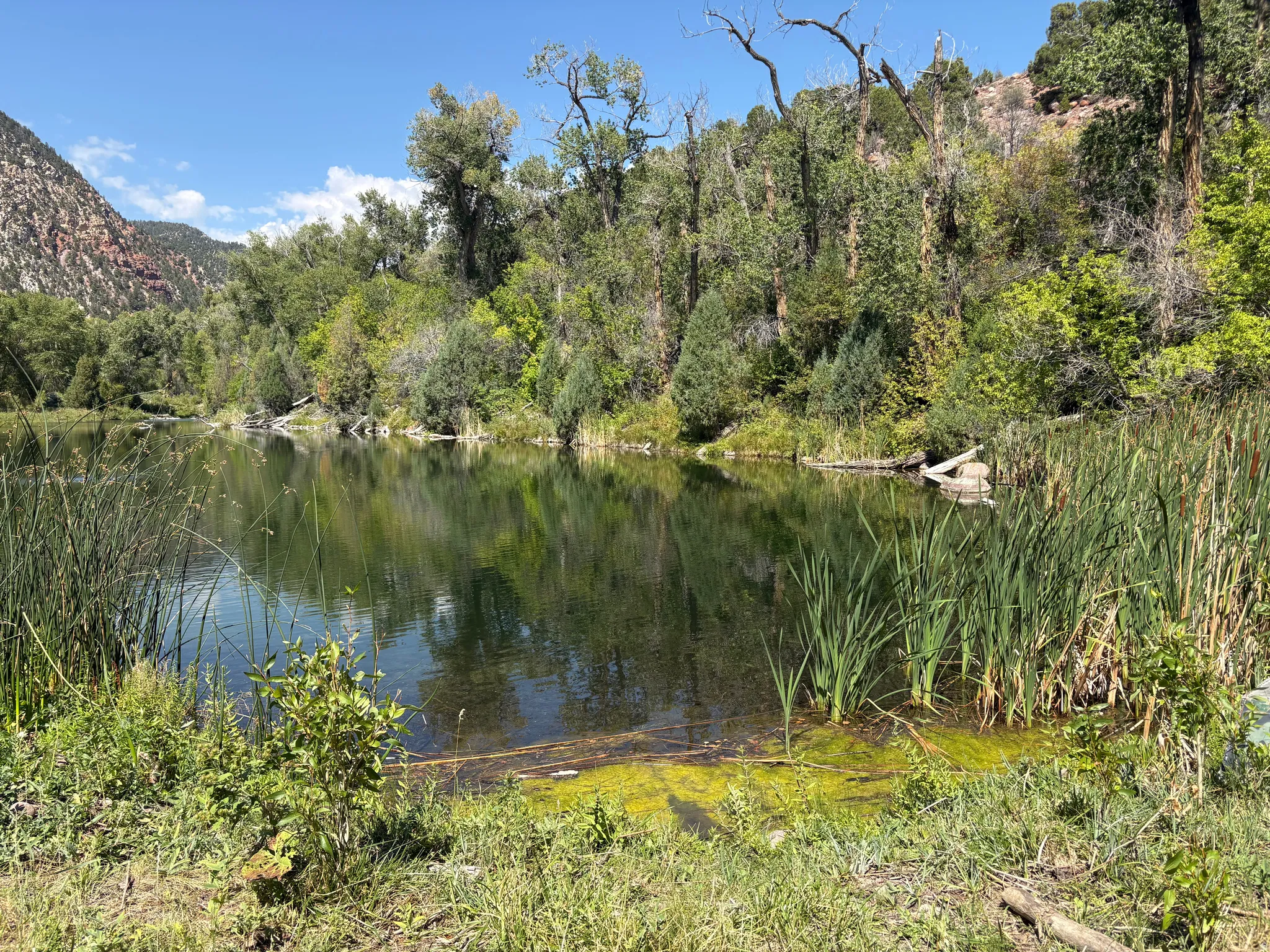 Natural body of water bordered by dense foliage and a distant rock face