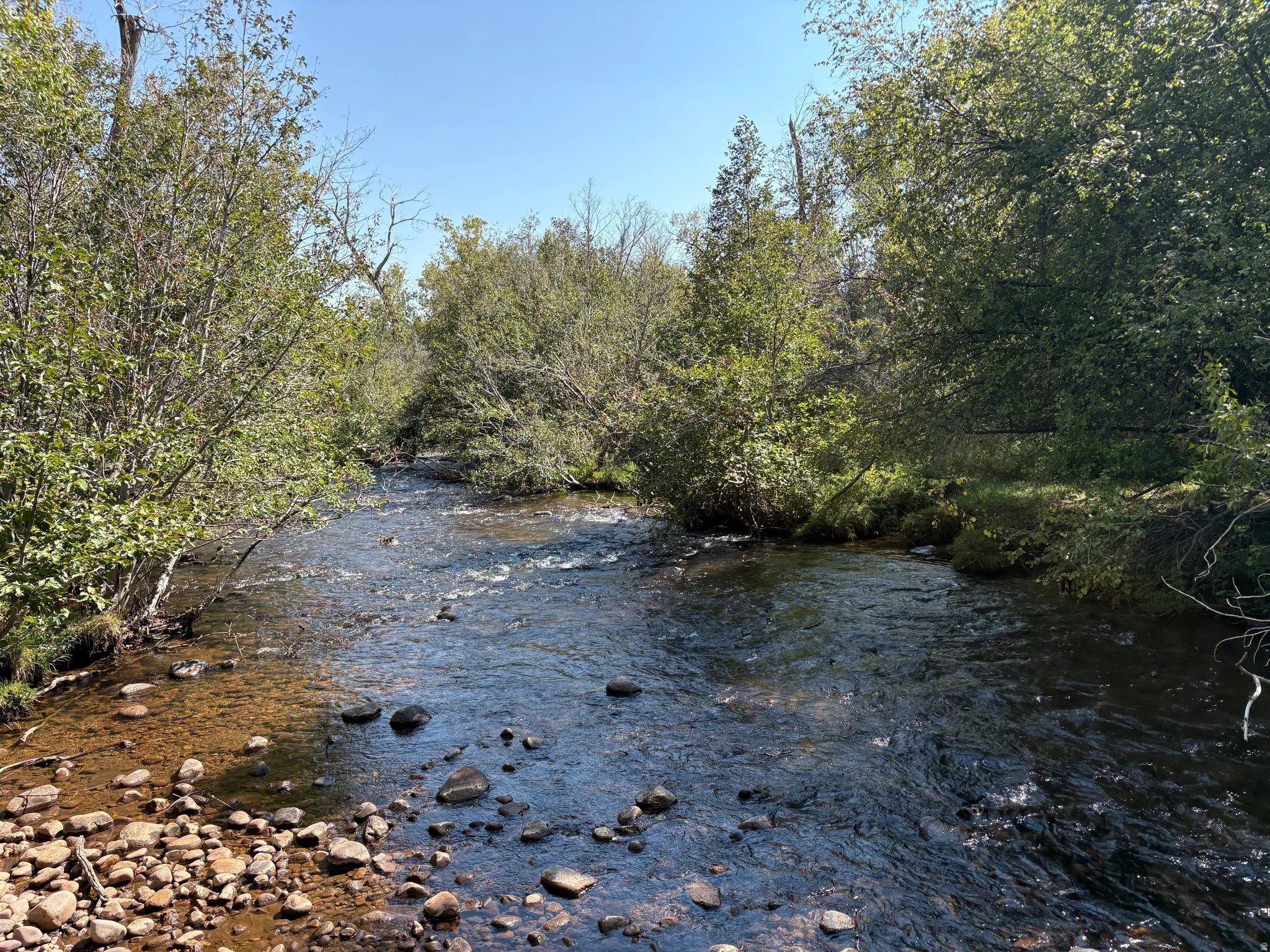 Natural water feature with rocky banks and surrounding mature trees
