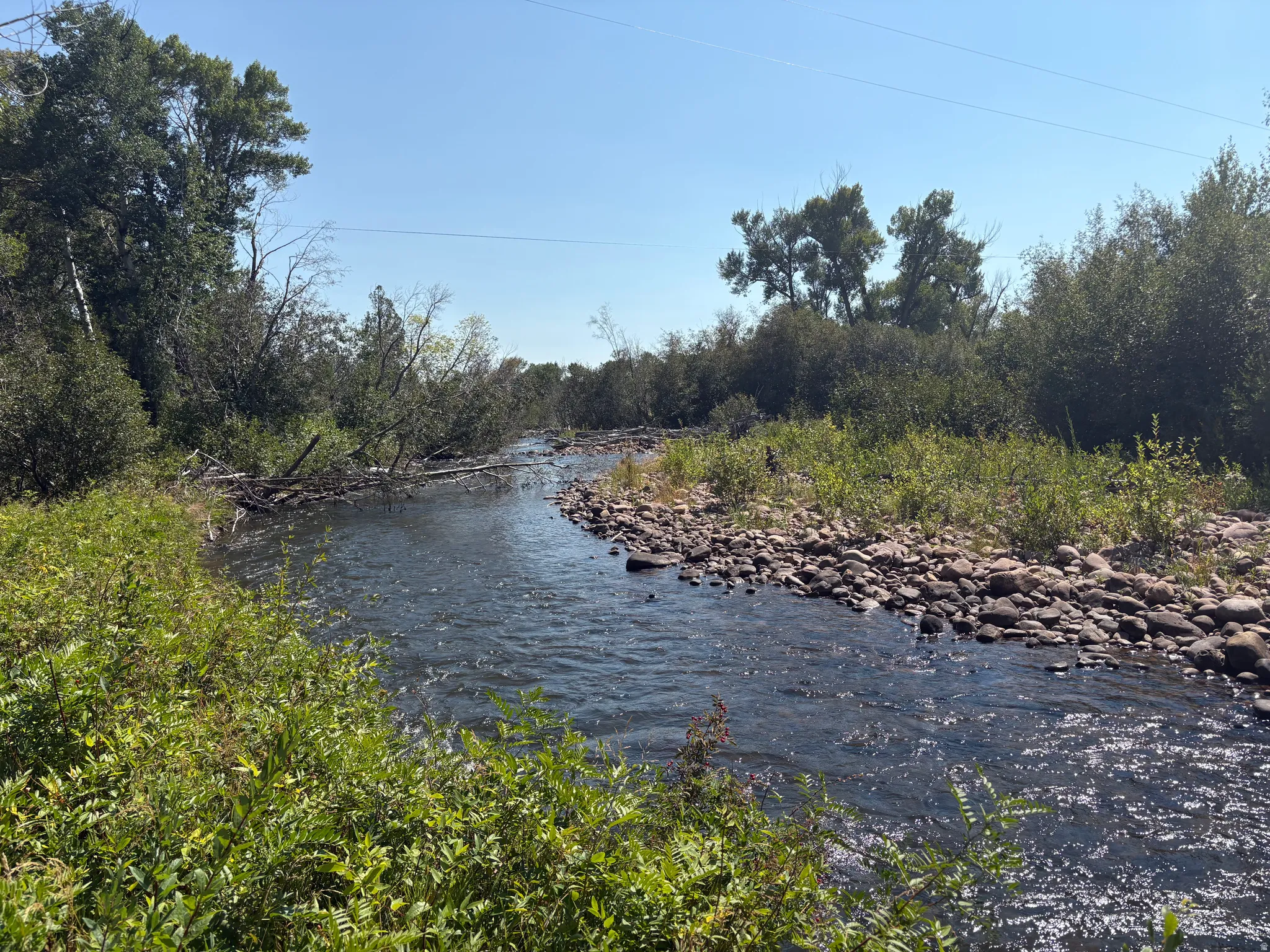 Flowing river with a rocky bank and abundant natural vegetation