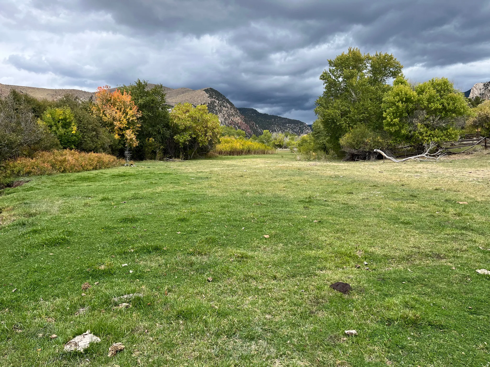 Expansive grassy lot with surrounding mature trees and distant mountain backdrop