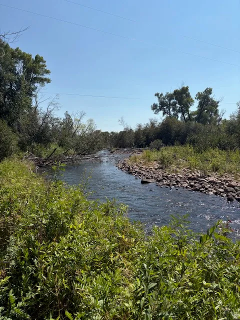 Natural waterway bordered by lush green foliage and a rocky bank