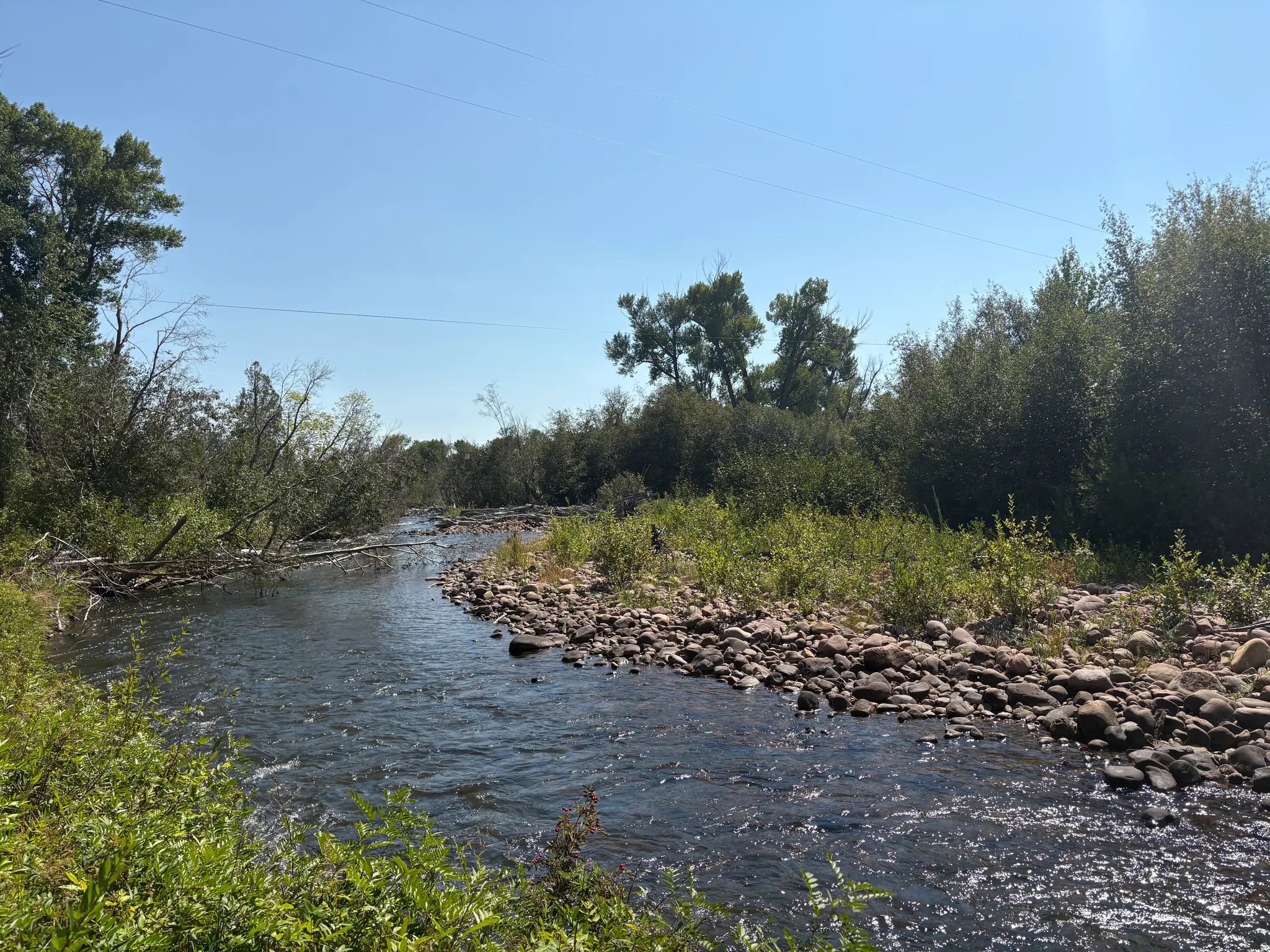 Natural river setting with flowing water, bordered by dense greenery and a rocky bank