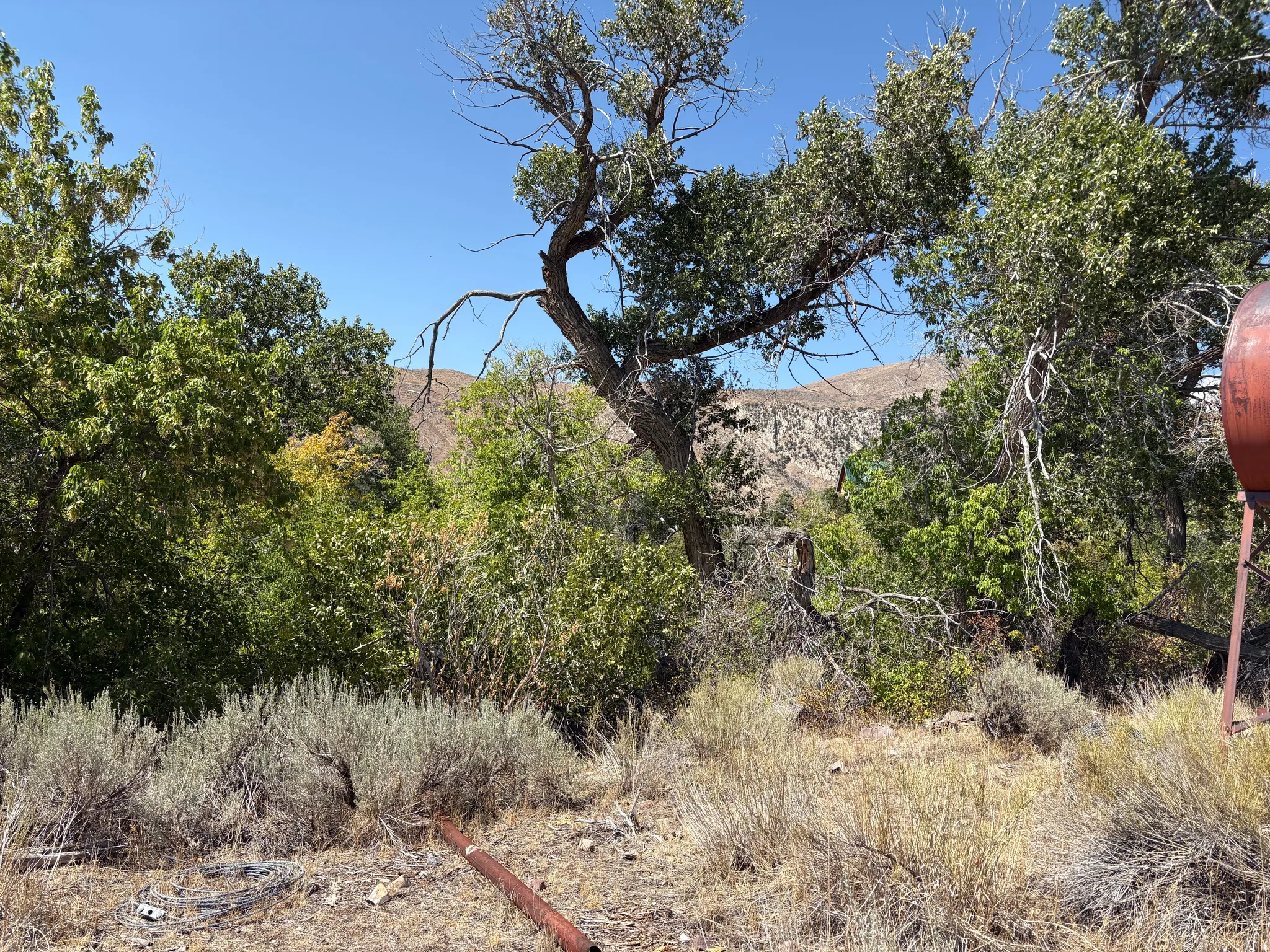Property featuring established trees and natural landscaping