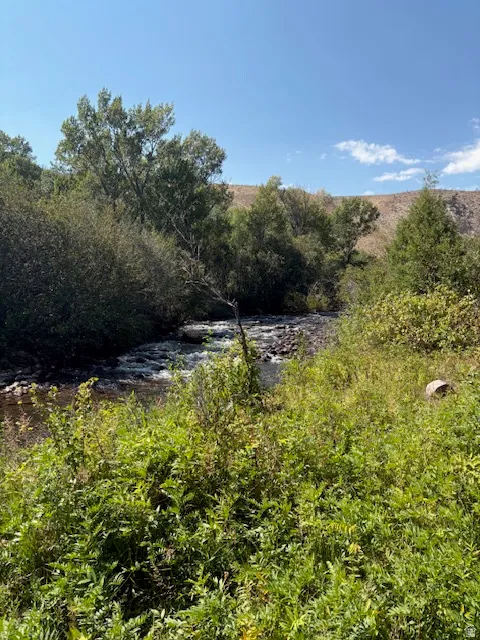 Natural water feature with a flowing river, surrounded by abundant green foliage, mature trees, and a distant hillside under a clear sky