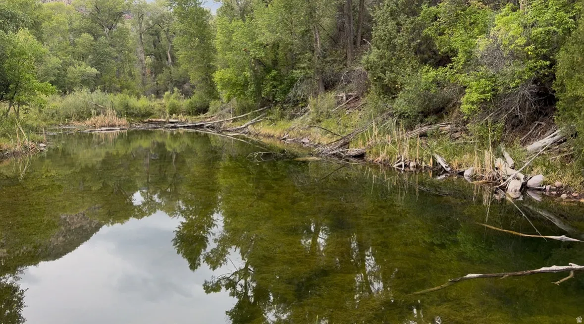 Natural water feature with surrounding mature trees and vegetation