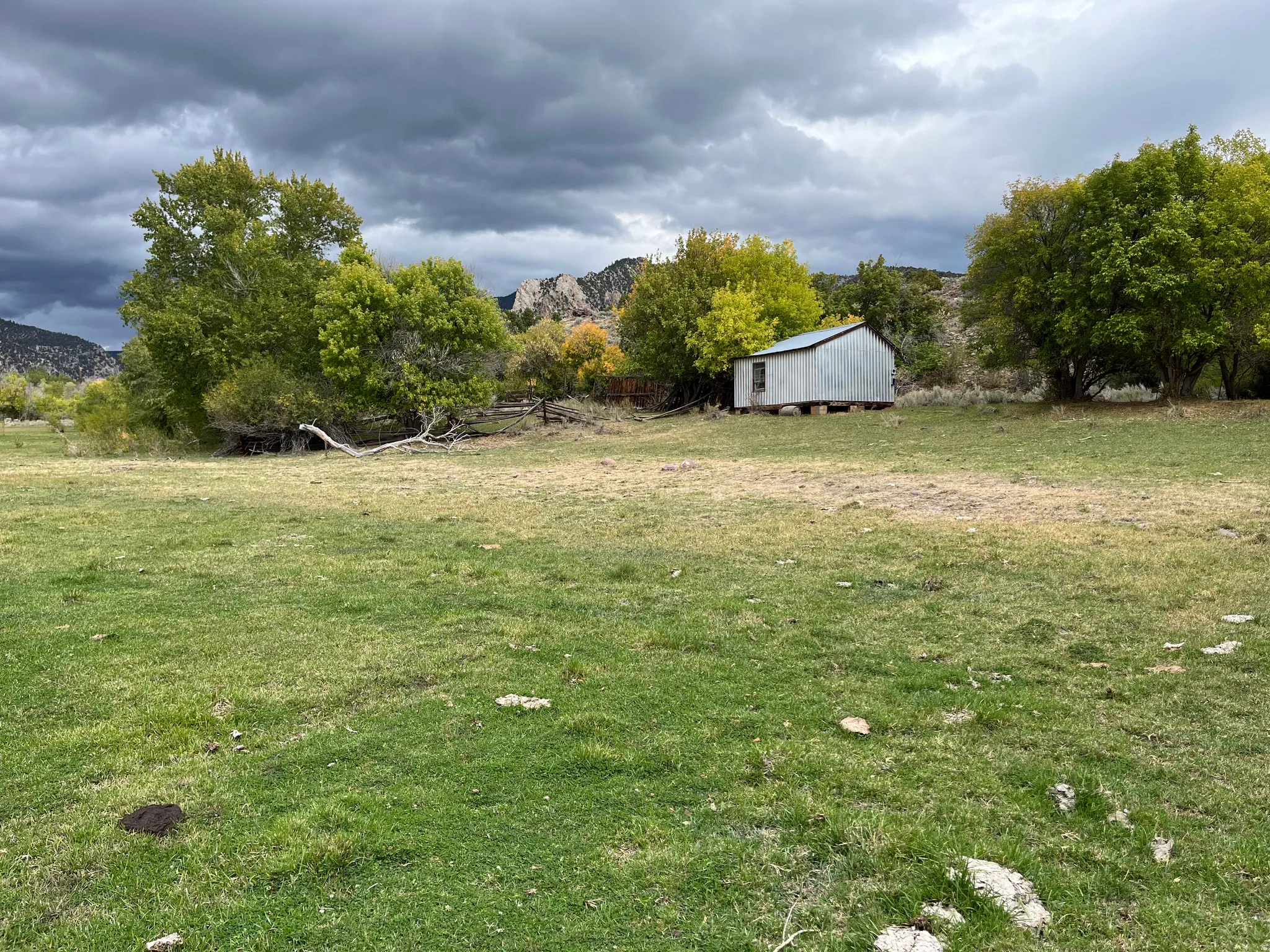 Expansive grassy terrain featuring scattered trees and a distant utility structure