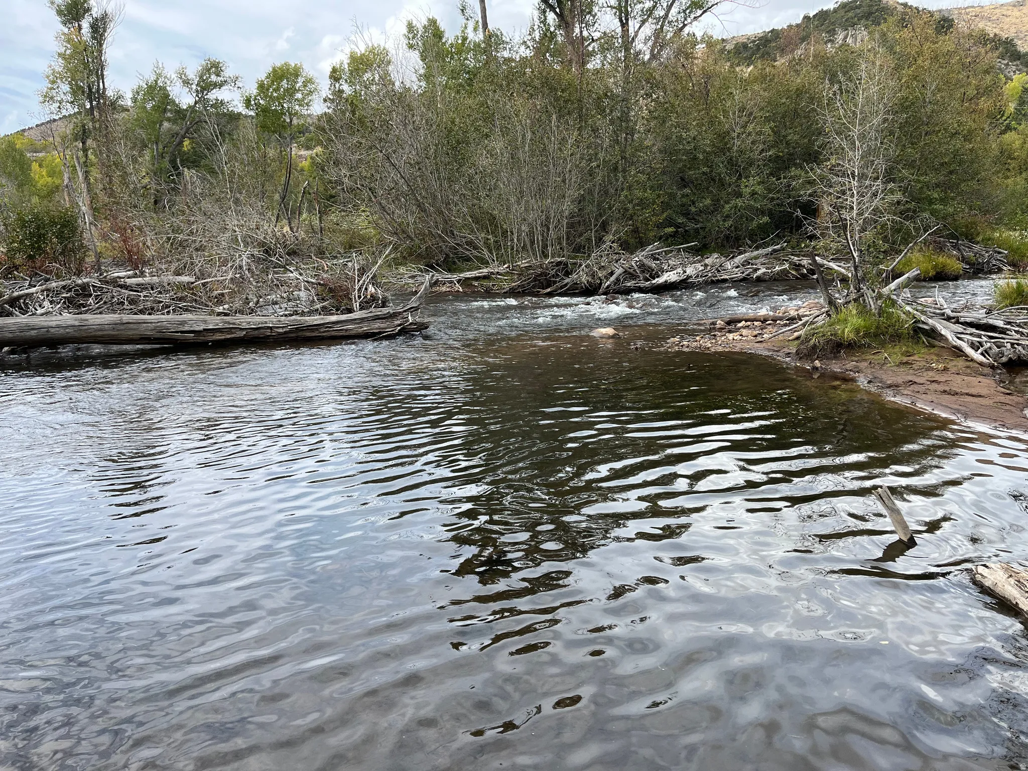 Natural waterway with a rocky bank and mature tree coverage