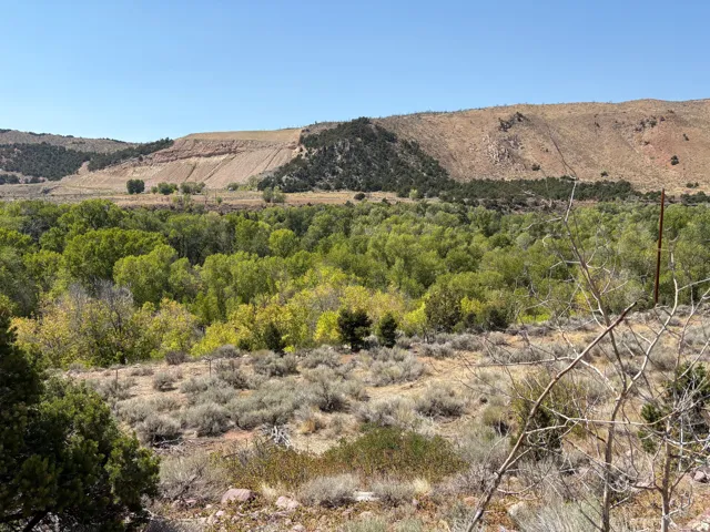 Expansive landscape featuring diverse natural terrain, including a dense green tree canopy, varied scrubland, and distant arid hills