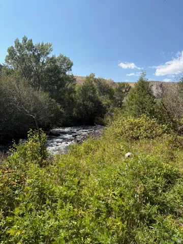 Waterfront property featuring a flowing river, abundant natural foliage, dense tree canopy, and a clear blue sky