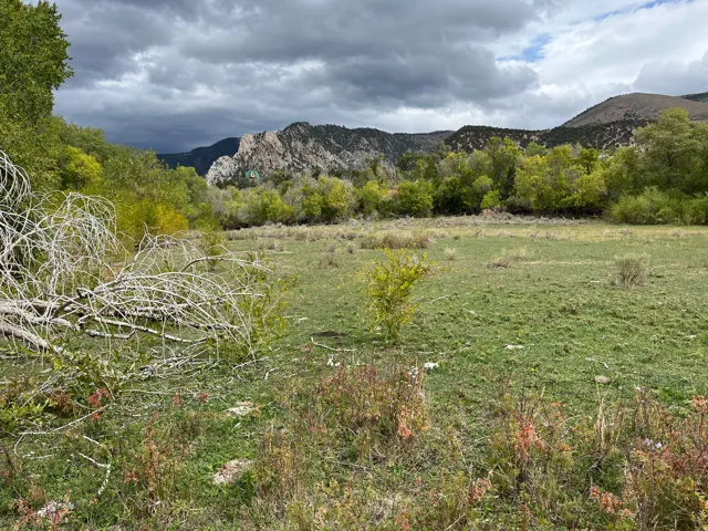 Expansive open field with green grass, surrounded by mature trees, and framed by rugged mountain formations in the distance