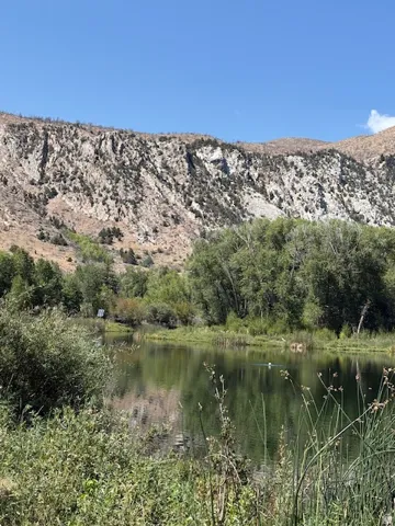Expansive natural landscape featuring a reflective pond bordered by diverse foliage, with a towering mountain range providing a dramatic backdrop