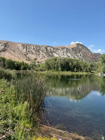 Natural water feature with surrounding vegetation and a mountain backdrop