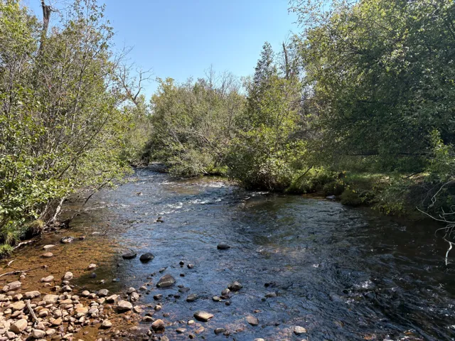 Natural water feature with rocky banks and surrounding mature trees
