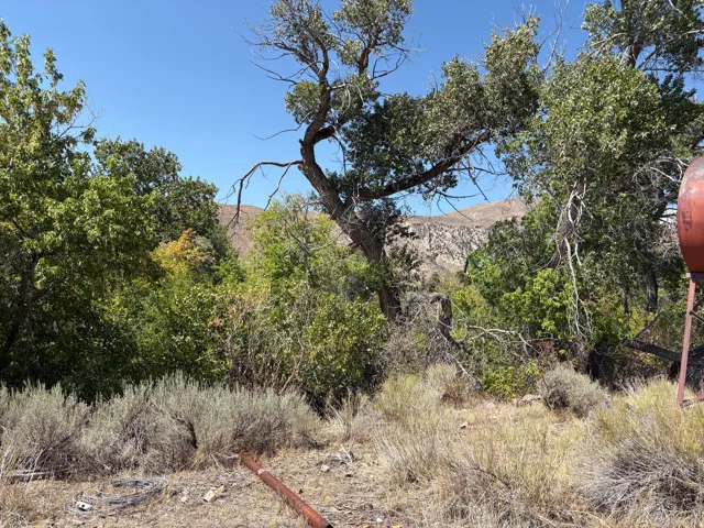 Property featuring established trees and natural landscaping