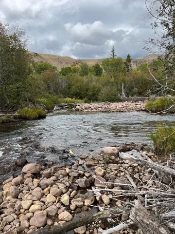 River frontage featuring natural rock formations, mature trees, and distant mountainous terrain