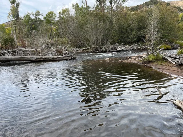 Natural waterway with a rocky bank and mature tree coverage