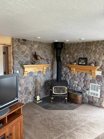 Wood-burning stove with a gold-trimmed door and a black stovepipe, set against a stone accent wall