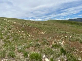 Expansive hillside terrain featuring varied natural vegetation, rolling contours, distant mountain range, and a broad sky overhead