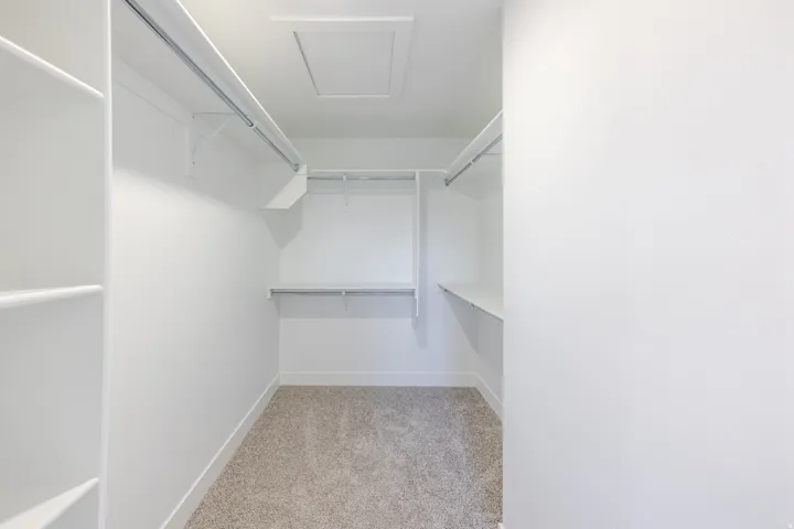 Walk-in closet featuring white built-in shelving, white walls, and a light-toned carpet