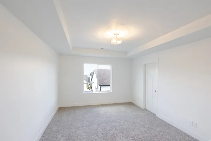Tray ceiling with a central light fixture, wall-to-wall carpeting, and a paneled door
