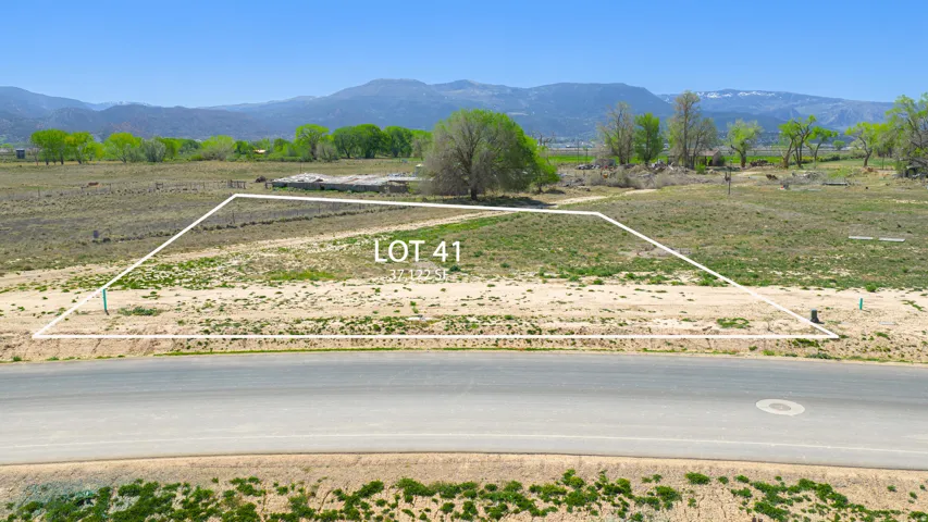 Expansive undeveloped parcel, Lot 41, featuring 3.712 acres of open land
